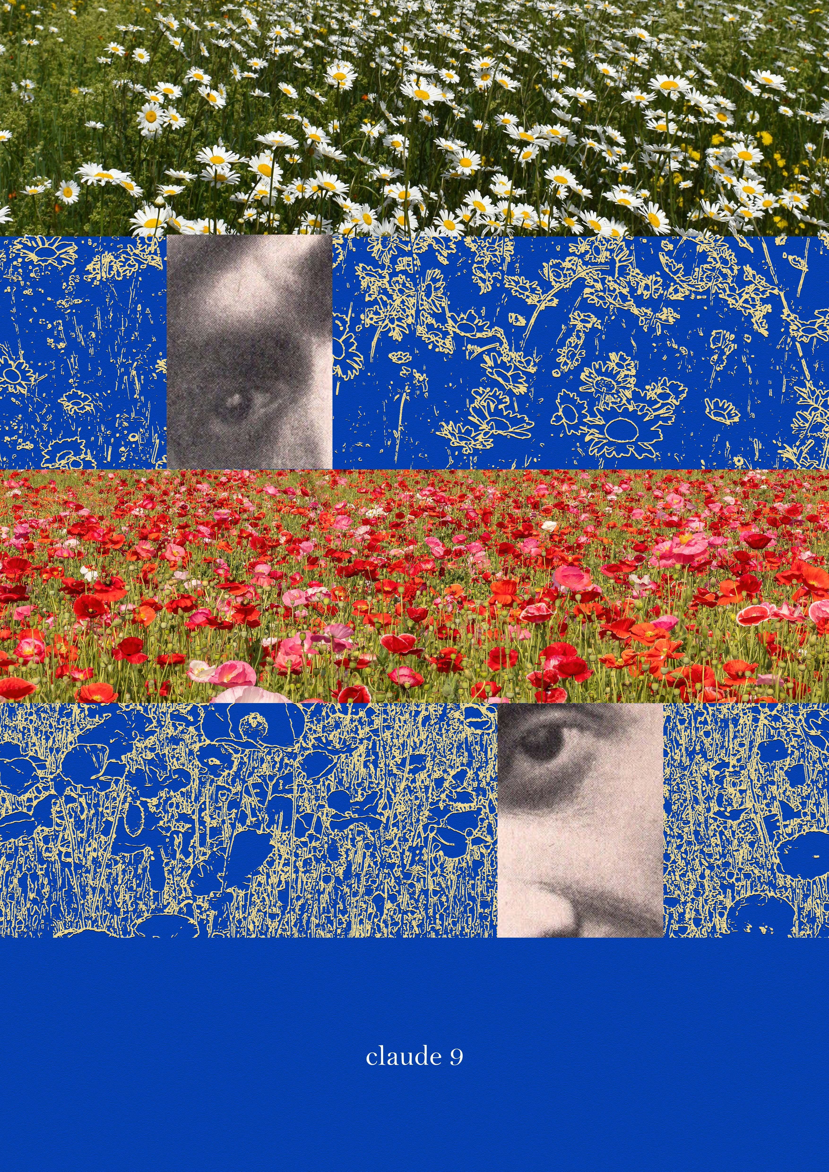 R&D design study — Flower field